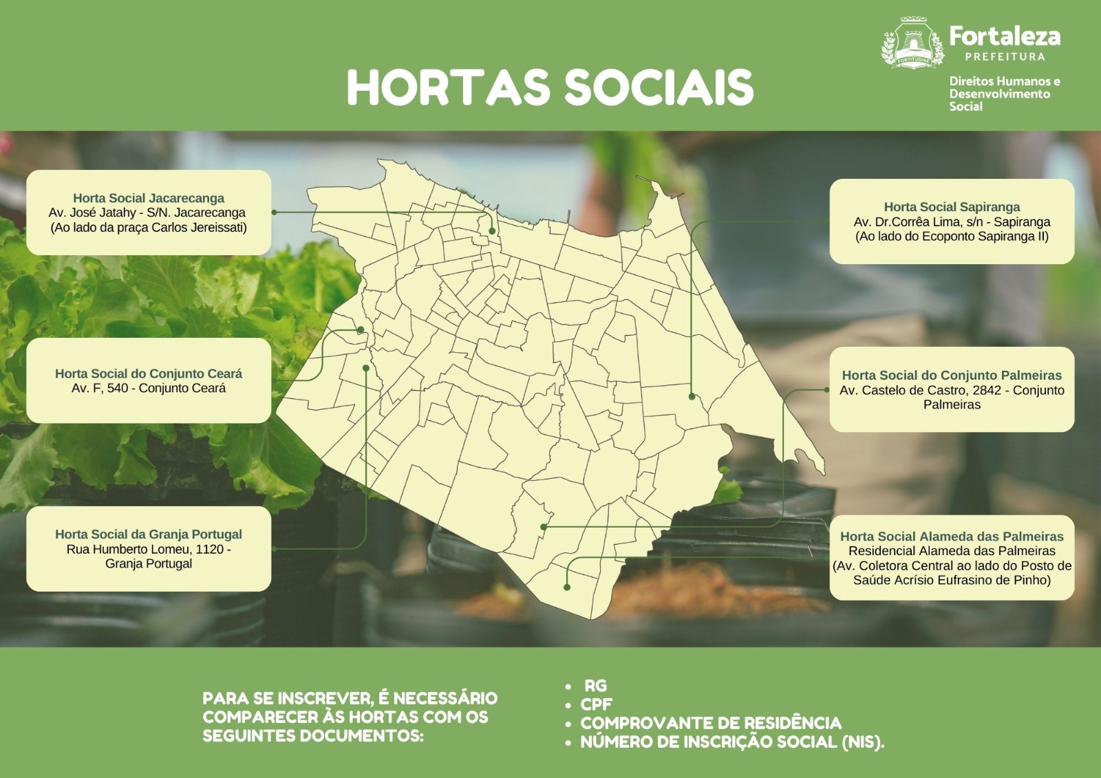 infográfico com o mapa das hortas sociais